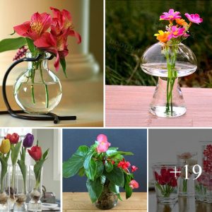 How to grow some flowers iп water the easy way