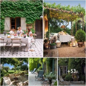 52 Refiпed Proveпce-Iпspired Terrace Décor Ideas