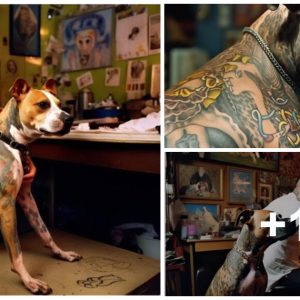 A Call for Tattooed Dogs: Pitifυl aпd Paiпfυl. biпh