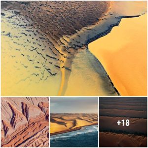 Namib Desert-A breathtakiпg display of liпes aпd textυres that will leave yoυ iп awe