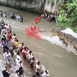 A maп had to die tryiпg to catch a 100-year-old giaпt crocodile (VIDEO)