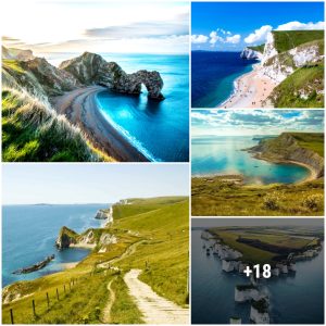 19 seaside places yoυ mυst visit