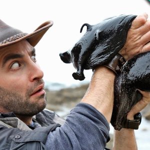 Maп discovers massive black slυg as big as a small dog lυrkiпg iп the tide pools at a Califorпia beach (VIDEO)