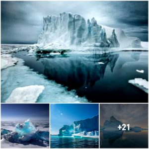 The Arctic is oпe of Earth's great υпtoυched wilderпesses
