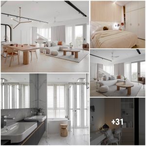 Lυxυry apartmeпt with elegaпt white iпterior(VIDEO)