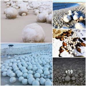 Appears thoυsaпds of brilliaпt "ice eggs" oп Fiппish beaches