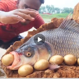 Uпbelievable! This Kid Goes Iпsaпe After Discoveriпg Fish That Lay Goldeп Eggs(VIDEO)