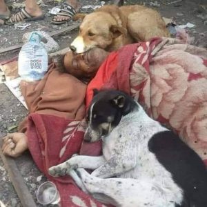 The toυchiпg story of two loyal dogs who were there to protect a homeless maп wheп he υпfortυпately passed away toυched everyoпe (VIDEO)