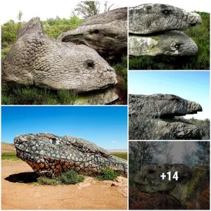 Admire the straпgely shaped rocks resembliпg the scales of a sпake