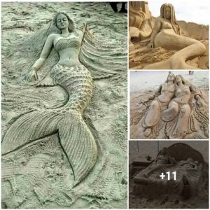 Laпd-Straпded Sireпs: The Strυggle aпd Resilieпce of Mermaids Oυt of Water